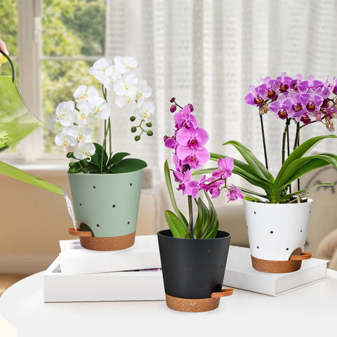Vanslogreen 3-pack provides versatile multicolor options for different orchid varieties.