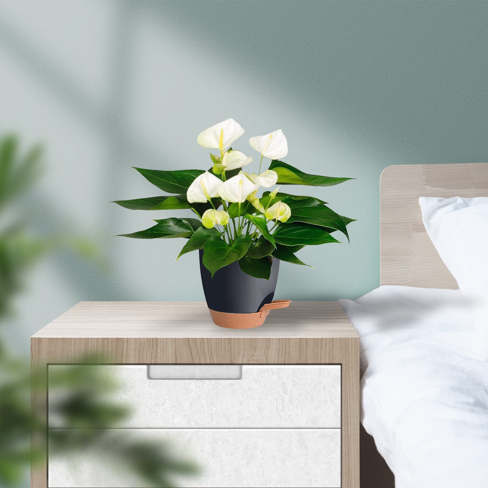Vanslogreen pack of five black pots for stylish home decor.