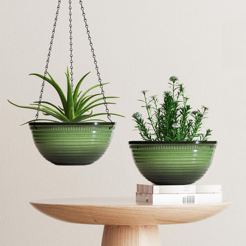 Vanslogreen 12-inch planter hanging on a windowsill for a bright display.
