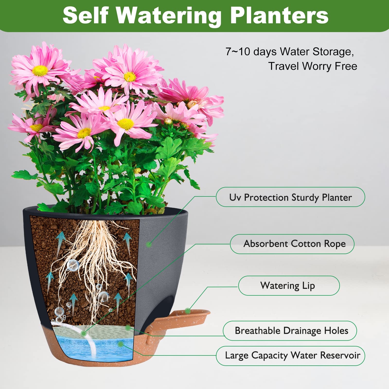 Vanslogreen pot demonstrates removable watering lip to monitor water level.