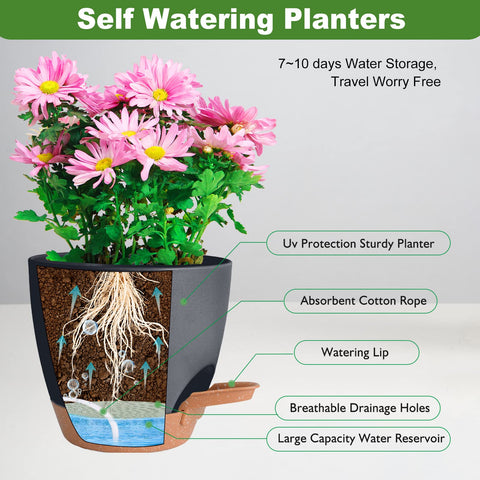 Vanslogreen pot demonstrates removable watering lip to monitor water level.