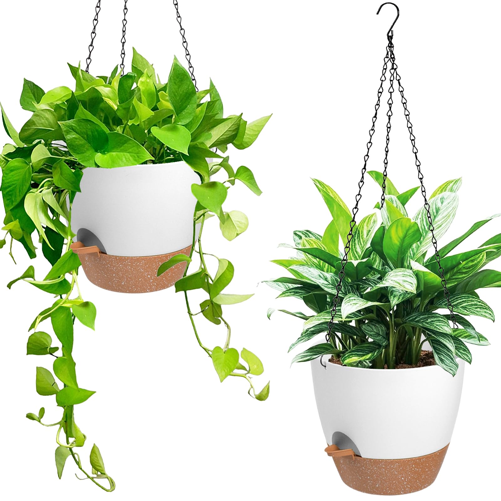 Vanslogreen self-watering hanging planter 6-inch white keeps soil moist for healthy plants.