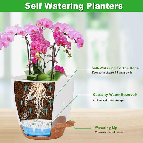 Vanslogreen self-watering planter with removable tray shows water reservoir and lip for easy watering