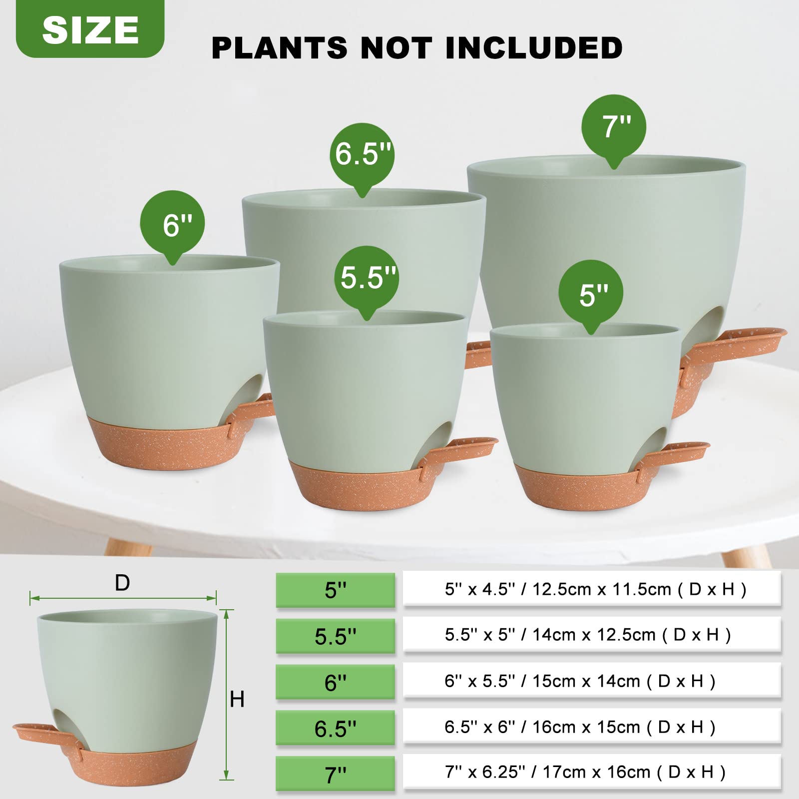 Vanslogreen self-watering pot 5.5-inch ideal for compact orchids.