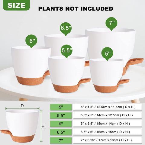 Vanslogreen self-watering pot 5.5-inch white with removable lip