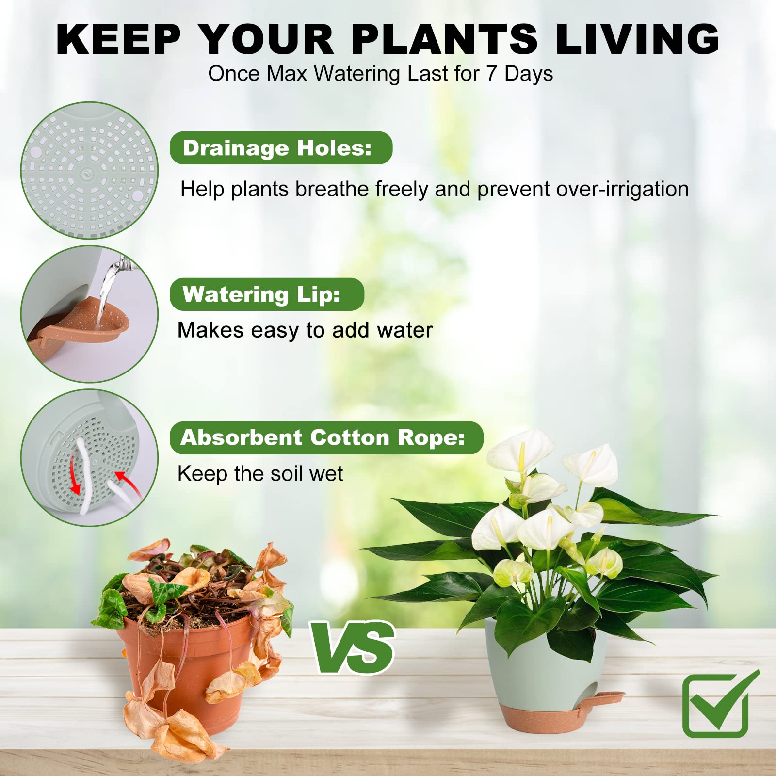 Vanslogreen self-watering pot 6.5-inch with drip-free watering lip for precise water level.