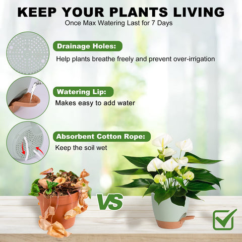 Vanslogreen self-watering pot 6.5-inch with drip-free watering lip for precise water level.