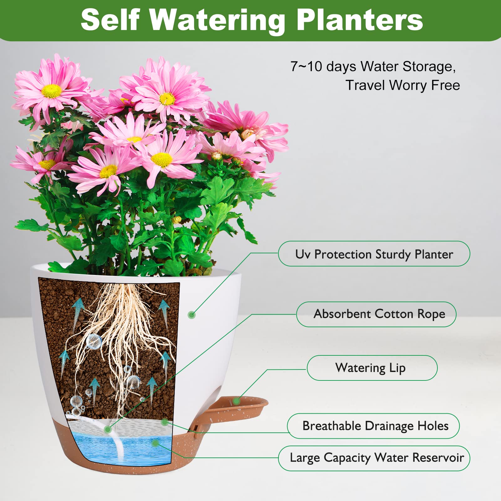 Vanslogreen self-watering pot 6-inch white with drainage holes
