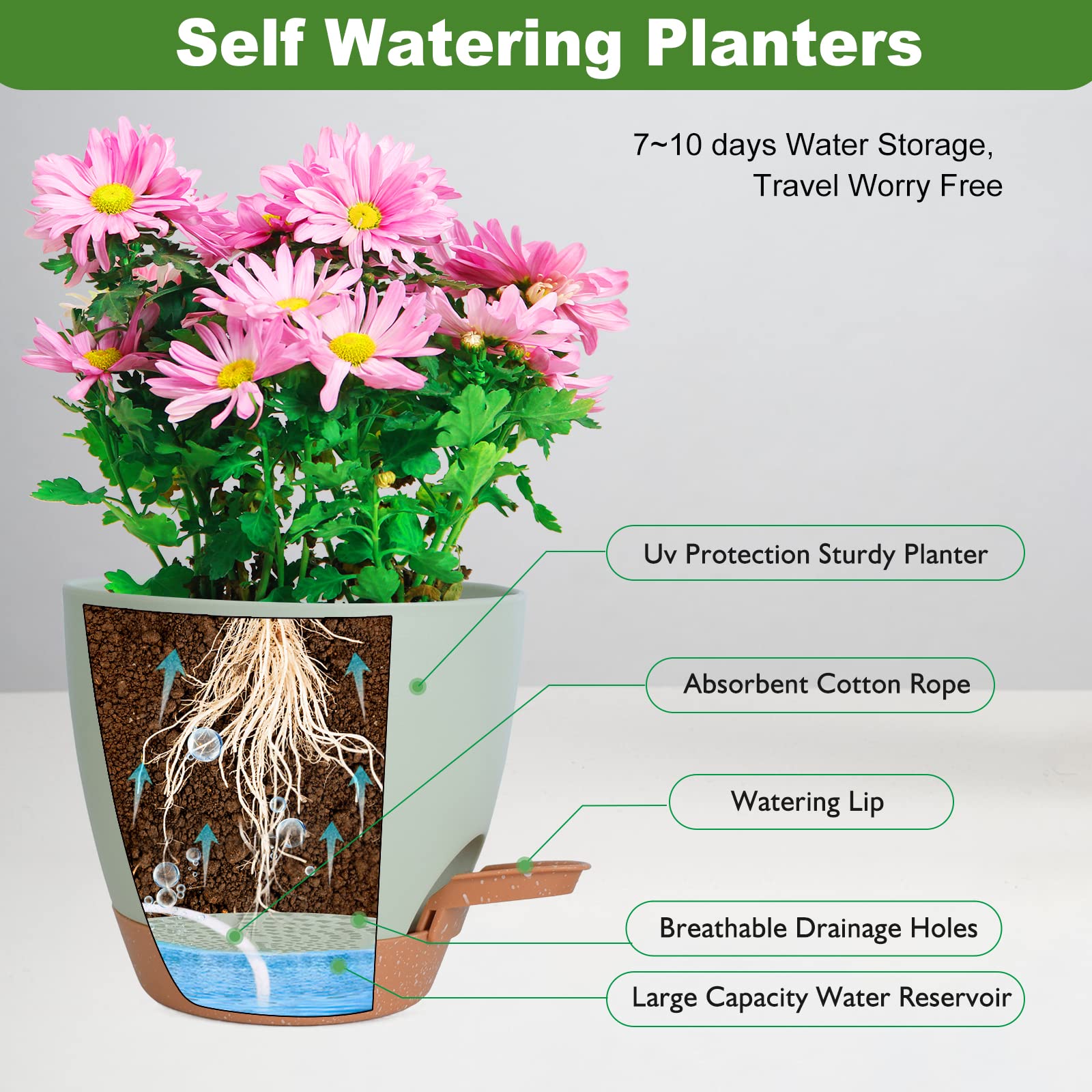 Vanslogreen self-watering pot 6-inch suited for succulents and herbs.