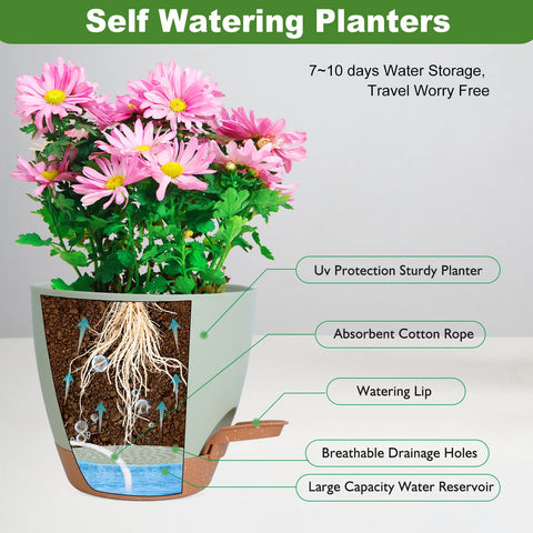 Vanslogreen self-watering pot 6-inch suited for succulents and herbs.