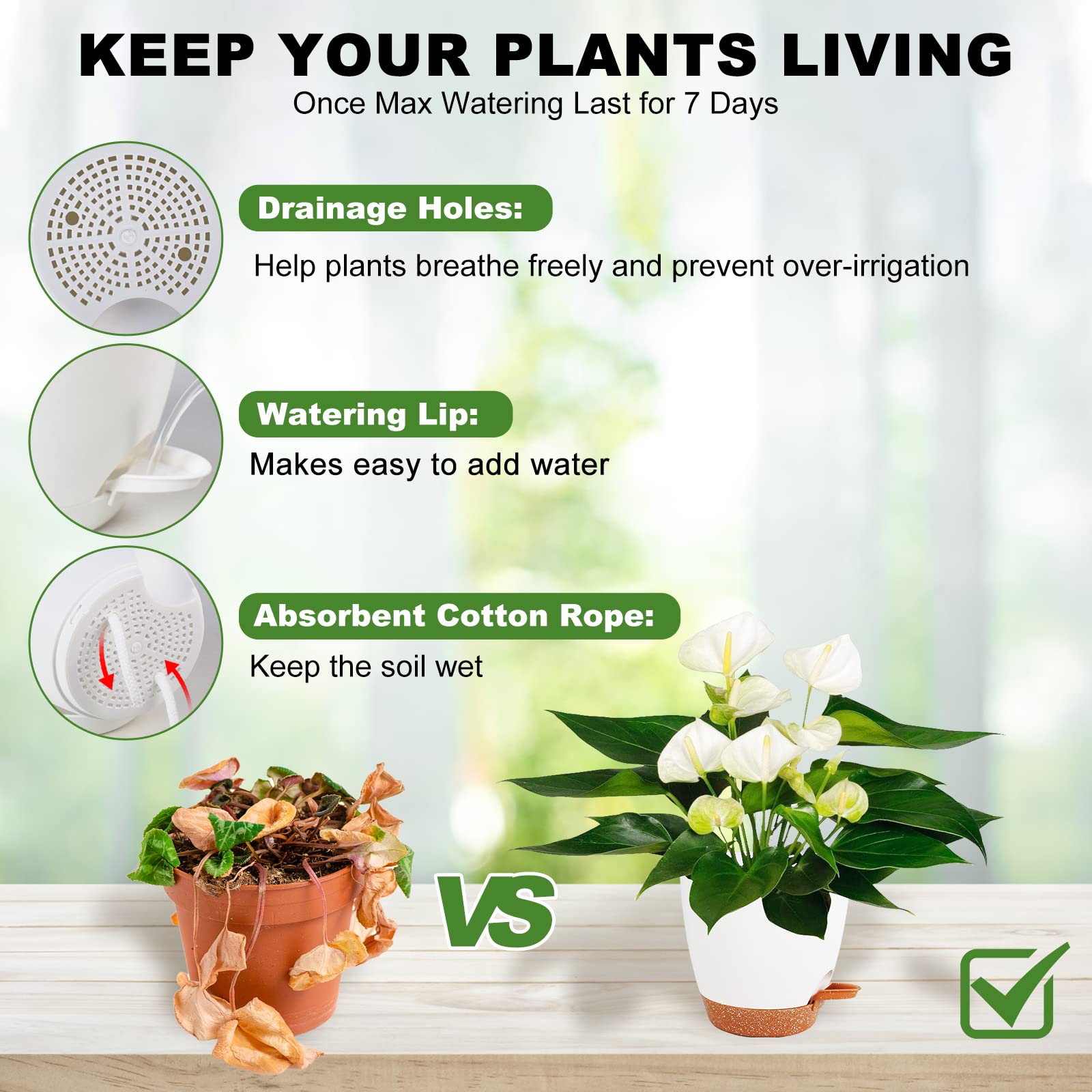 Vanslogreen self-watering pot 6.5-inch white with moisture delivery