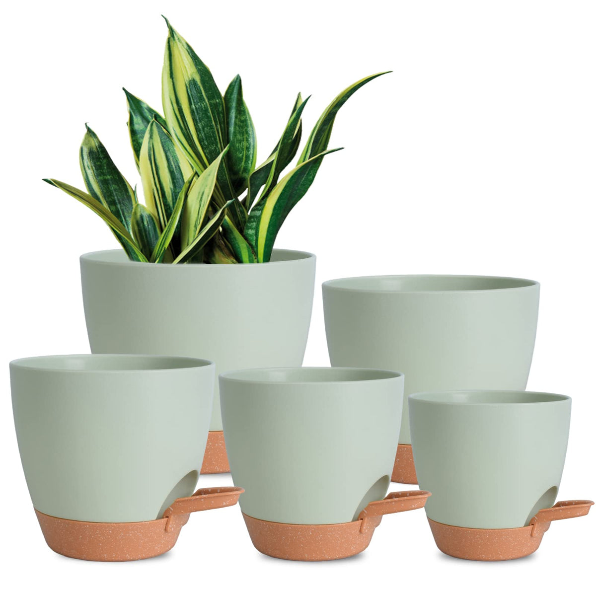 Vanslogreen self-watering pot 7-inch with reservoir promotes easy indoor plant care.