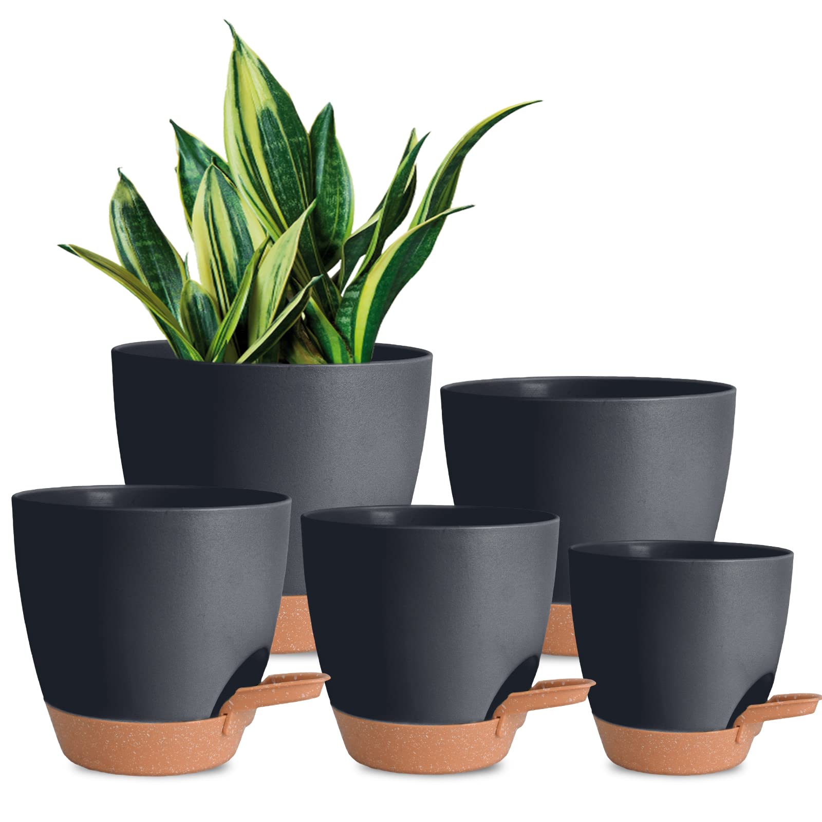 Vanslogreen self-watering pot with reservoir keeps indoor plants evenly moist.