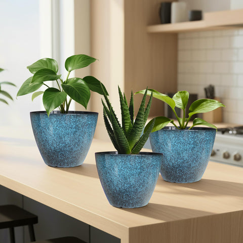 Vanslogreen succulent herb snake plant pot supports small greenery