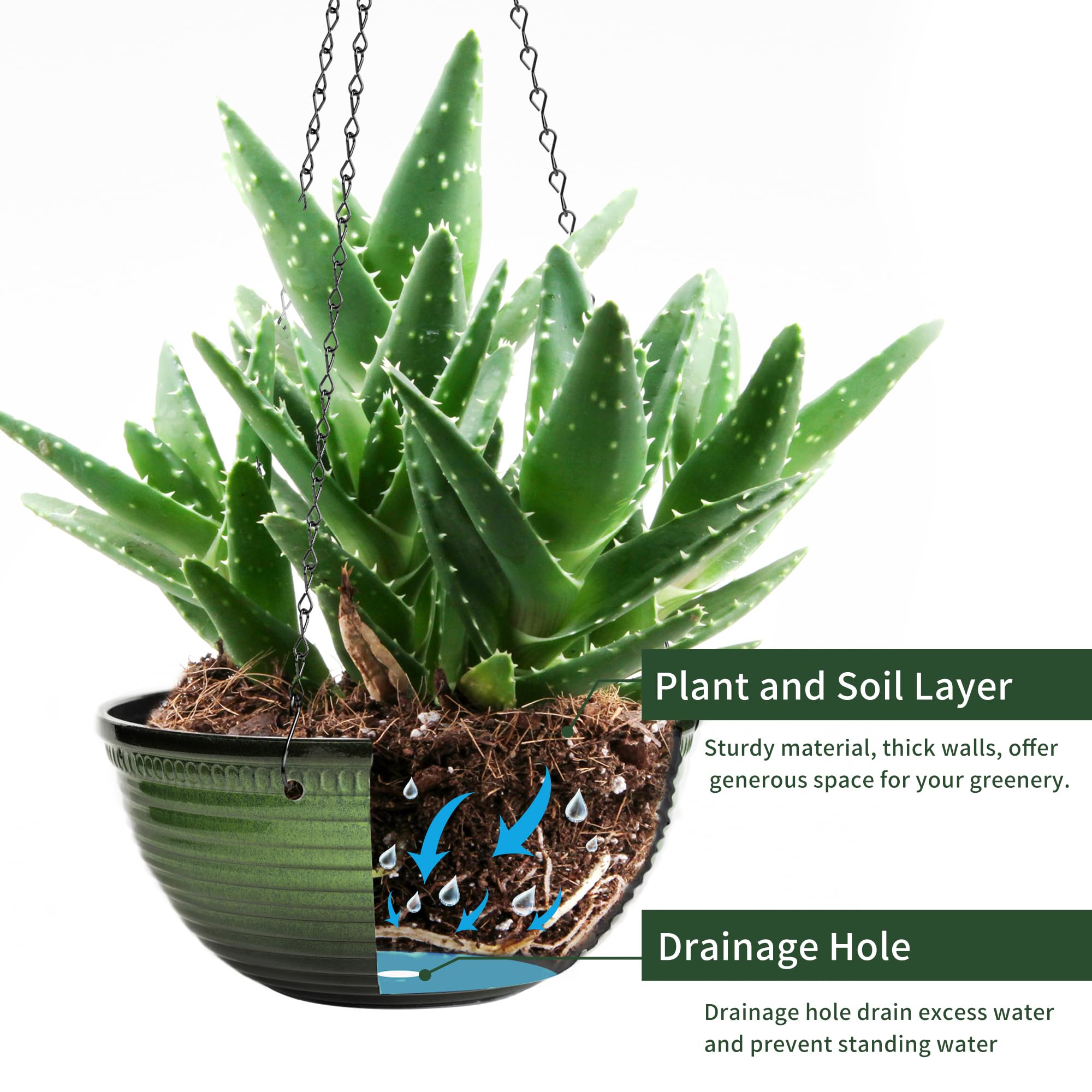 Vanslogreen two-pack set enhances indoor and outdoor décor options.