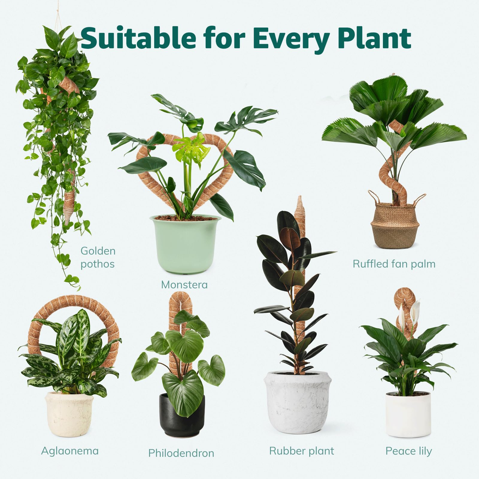 Vanut 2-pack 28in moss poles suit indoor tropical gardens and compact spaces.
