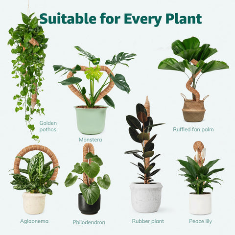 Vanut 2-pack 28in moss poles suit indoor tropical gardens and compact spaces.