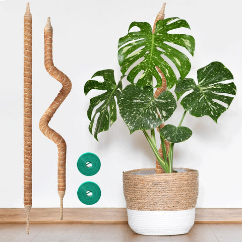 Vanut bendable moss pole 28in arch shape supports climbing plants with steady stability.