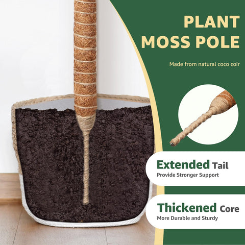 Vanut 28in moss pole in spiral form helps plants grow upright gracefully.