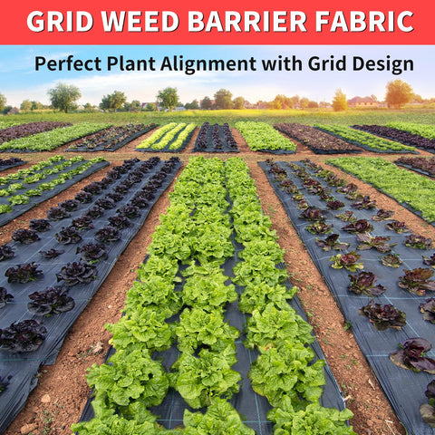 Vanver weed barrier fabric demonstrating durable surface for long-lasting gardens.