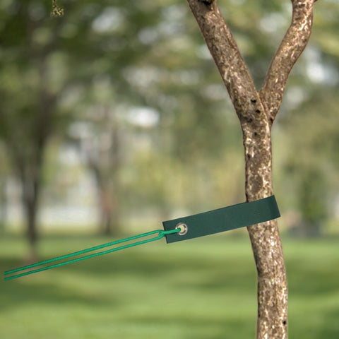 VASGOR ground installation shows secure stake anchoring in soil.