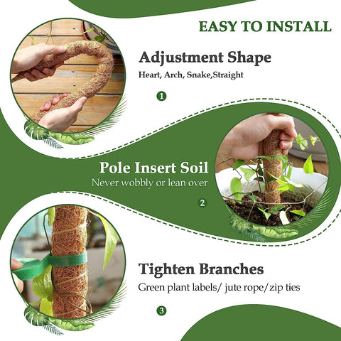 Vastcury moss pole heart-shape bend demonstrates decorative support while guiding vines