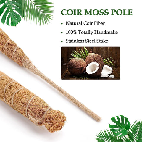 Vastcury moss pole supports small to medium plants for organized growth
