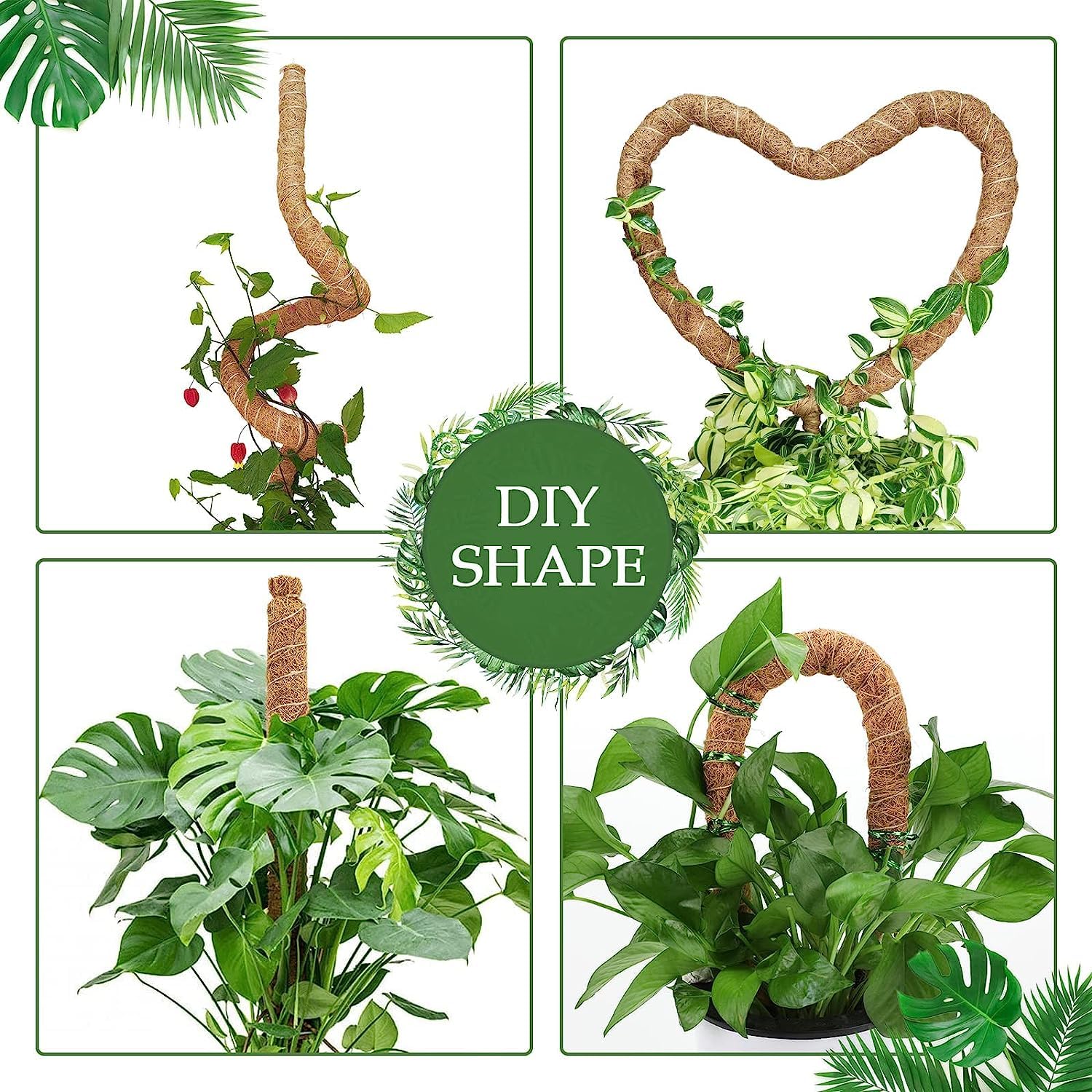 Vastcury moss pole coco coir texture provides natural, breathable plant support