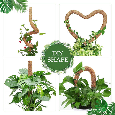 Vastcury moss pole coco coir texture provides natural, breathable plant support