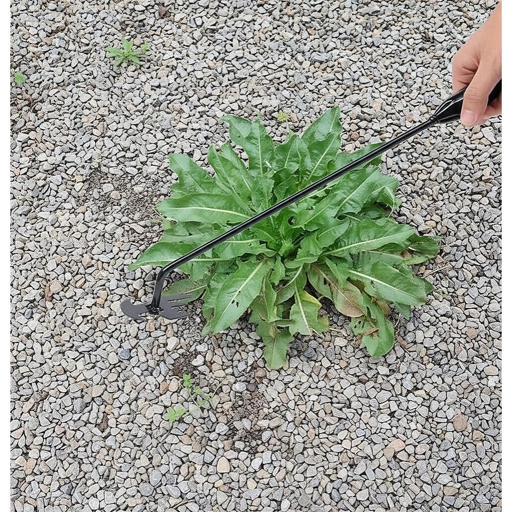 VBQFDPH 4-prong head tool for precise weed removal in garden beds