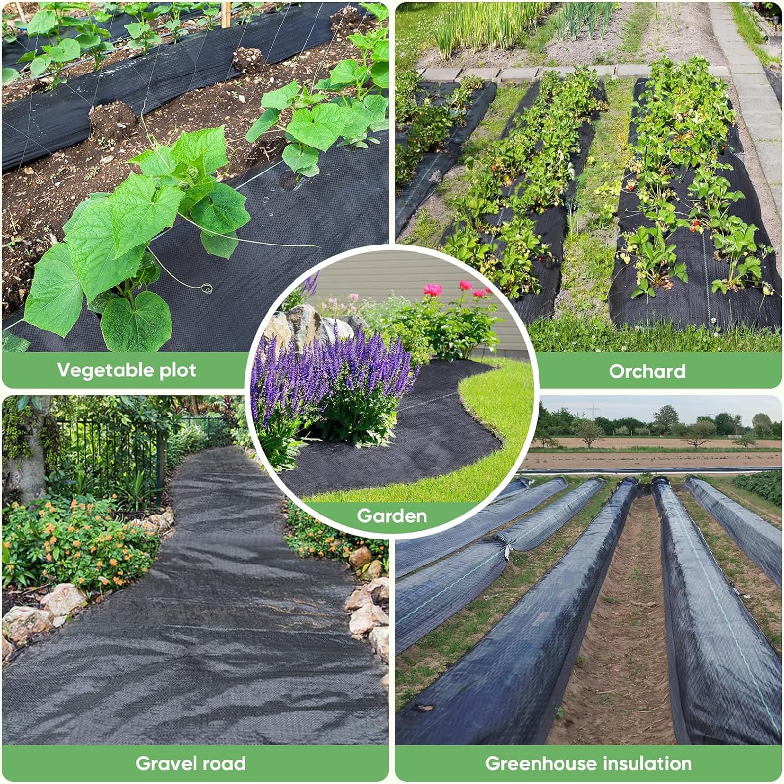 VBWSL garden ground cover aids erosion control on slopes and planting areas.