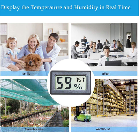 Veanic greenhouse environment monitored by digital hygrometer for precise humidity control