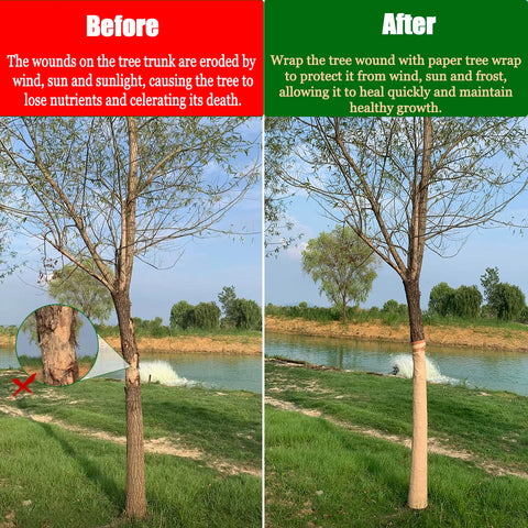 Vecacosic included tape ensures easy application and secure fit