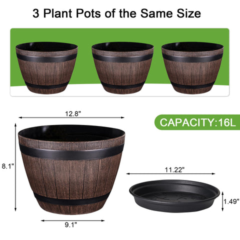 VECELO gift-ready garden set, ideal for orchids, succulents, and herbs.