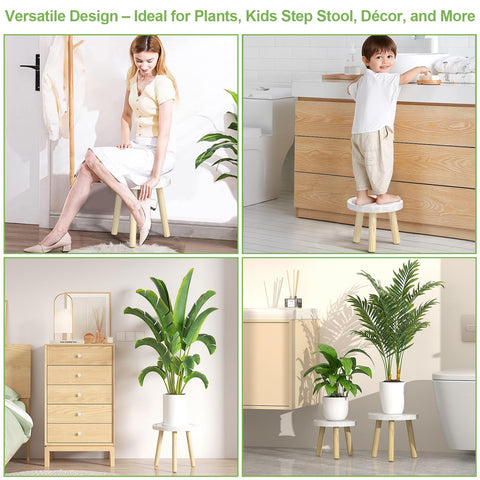Vecxoty large-plant display stand suitable for fiddle leaf figs and tall specimens