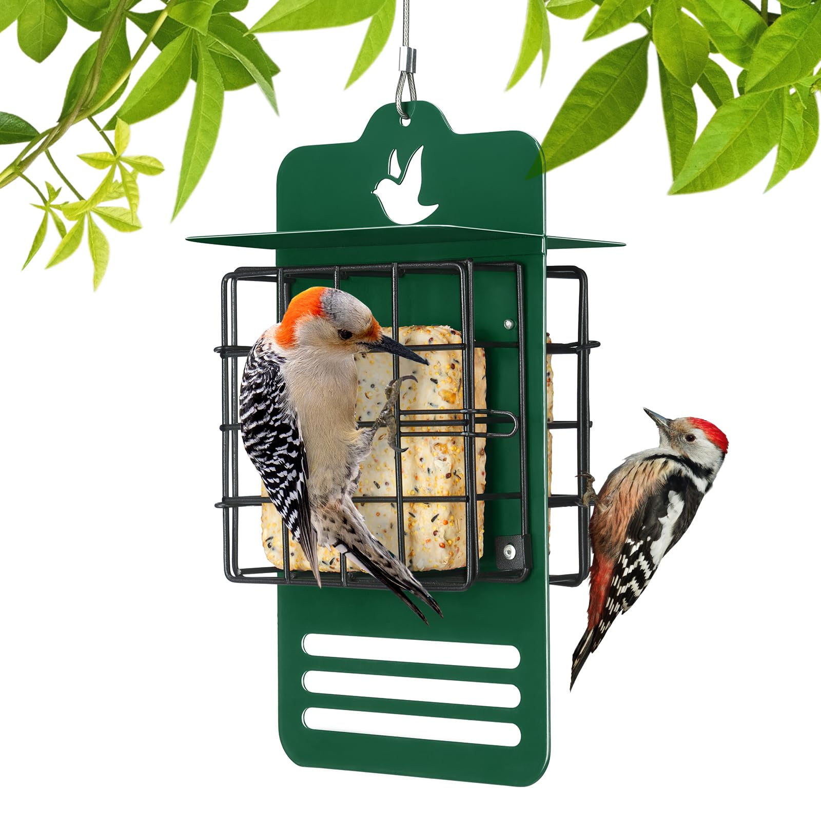 Veehoo double-suet-feeder outdoors keeps two suet cakes accessible for extended feeding.