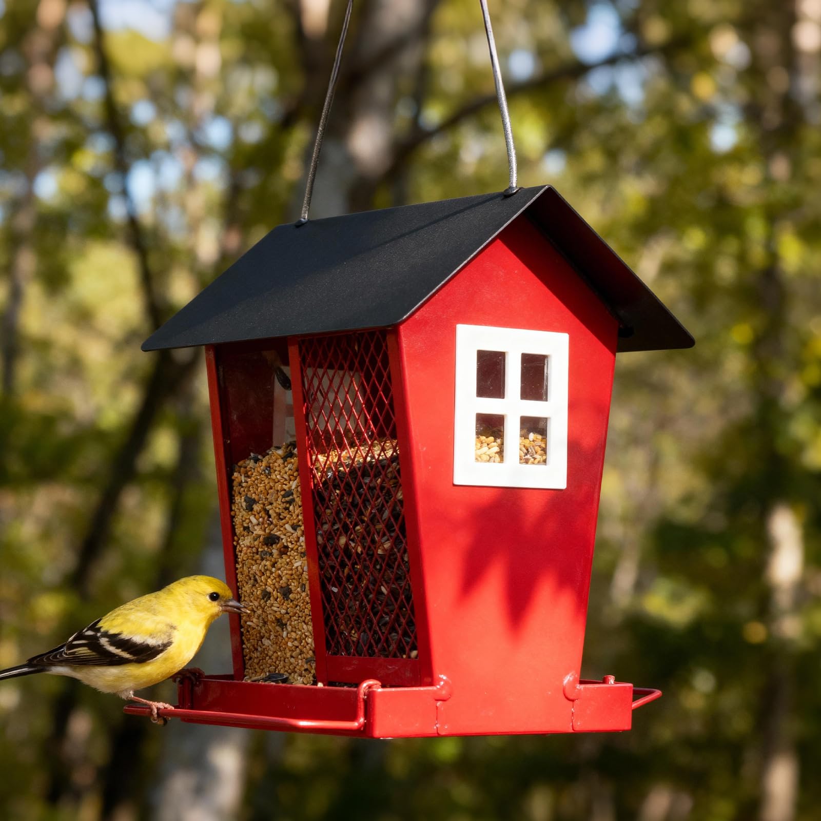 Veehoo 2-in-1 feeder supports year-round bird viewing on patios