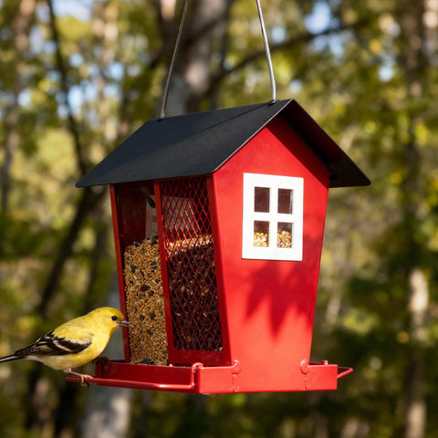 Veehoo 2-in-1 feeder supports year-round bird viewing on patios