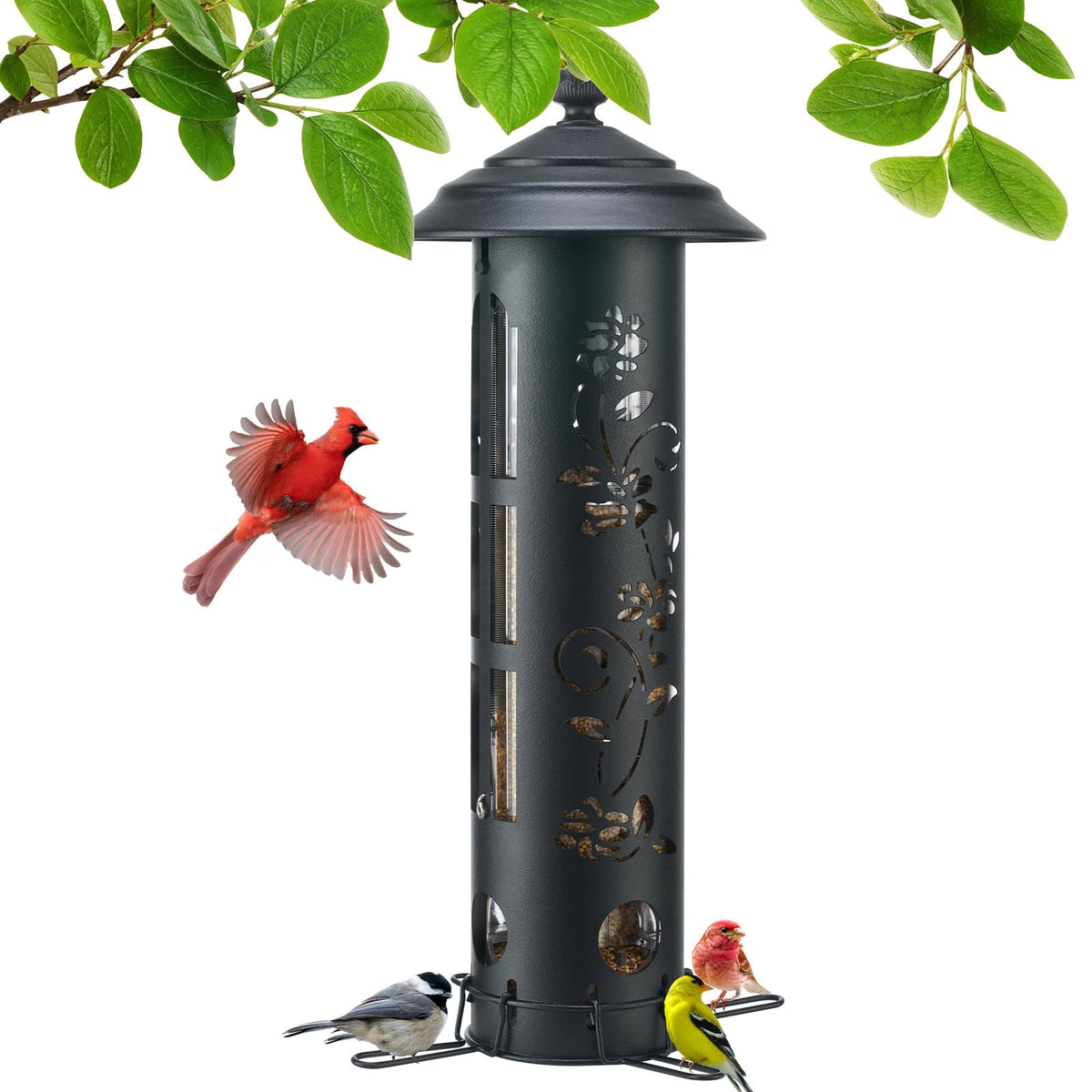 Veehoo squirrel-proof feeder with weight-activated perch may deter larger visitors and protect seed.