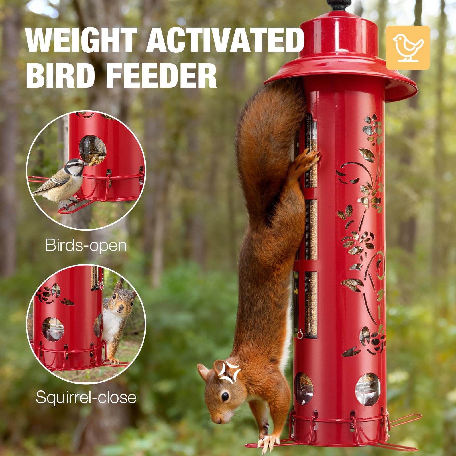 Veehoo Weight-Activated Perches allow small birds to perch while blocking access for larger intruders.