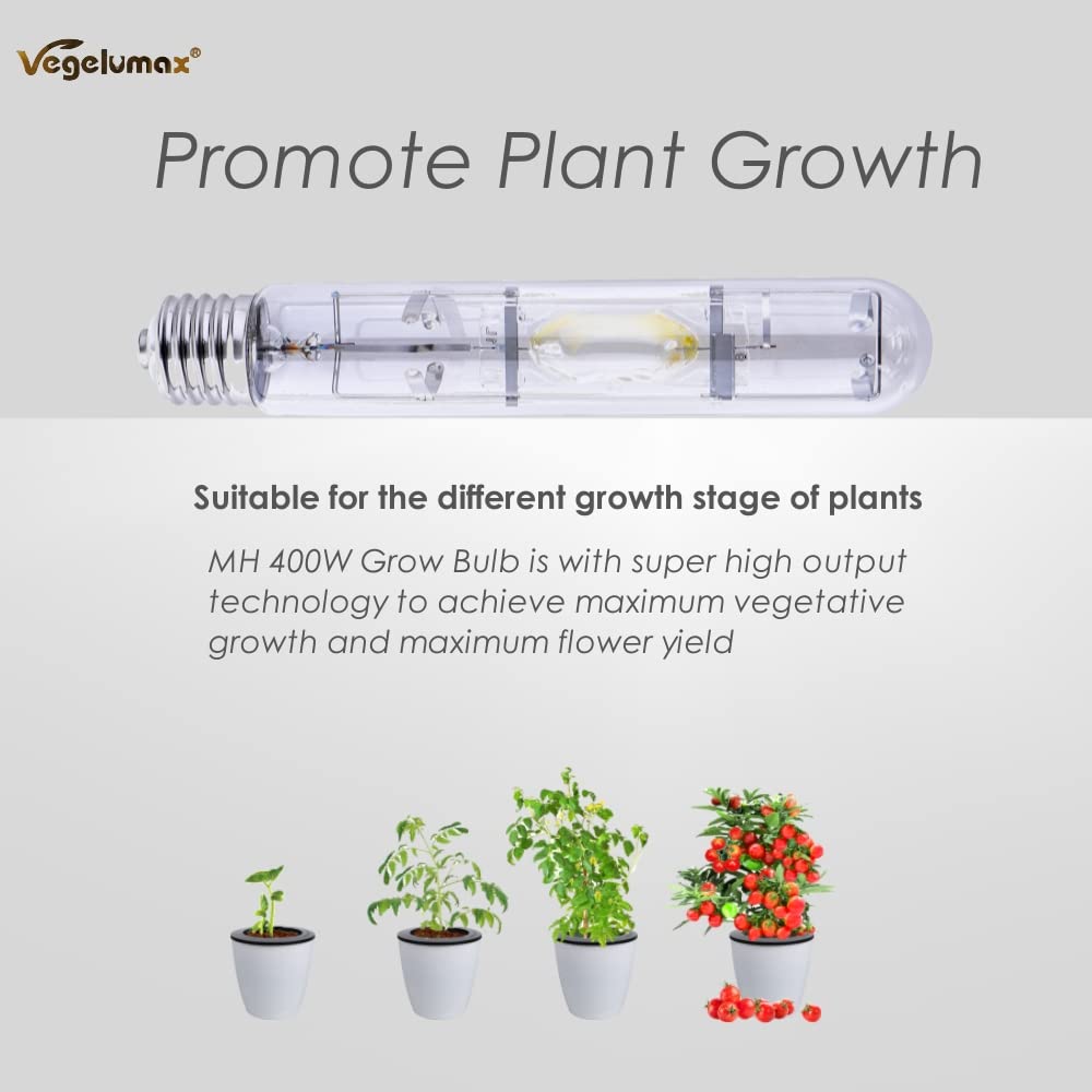 Vegelumax MH400W depiction of vegetative growth in indoor setup