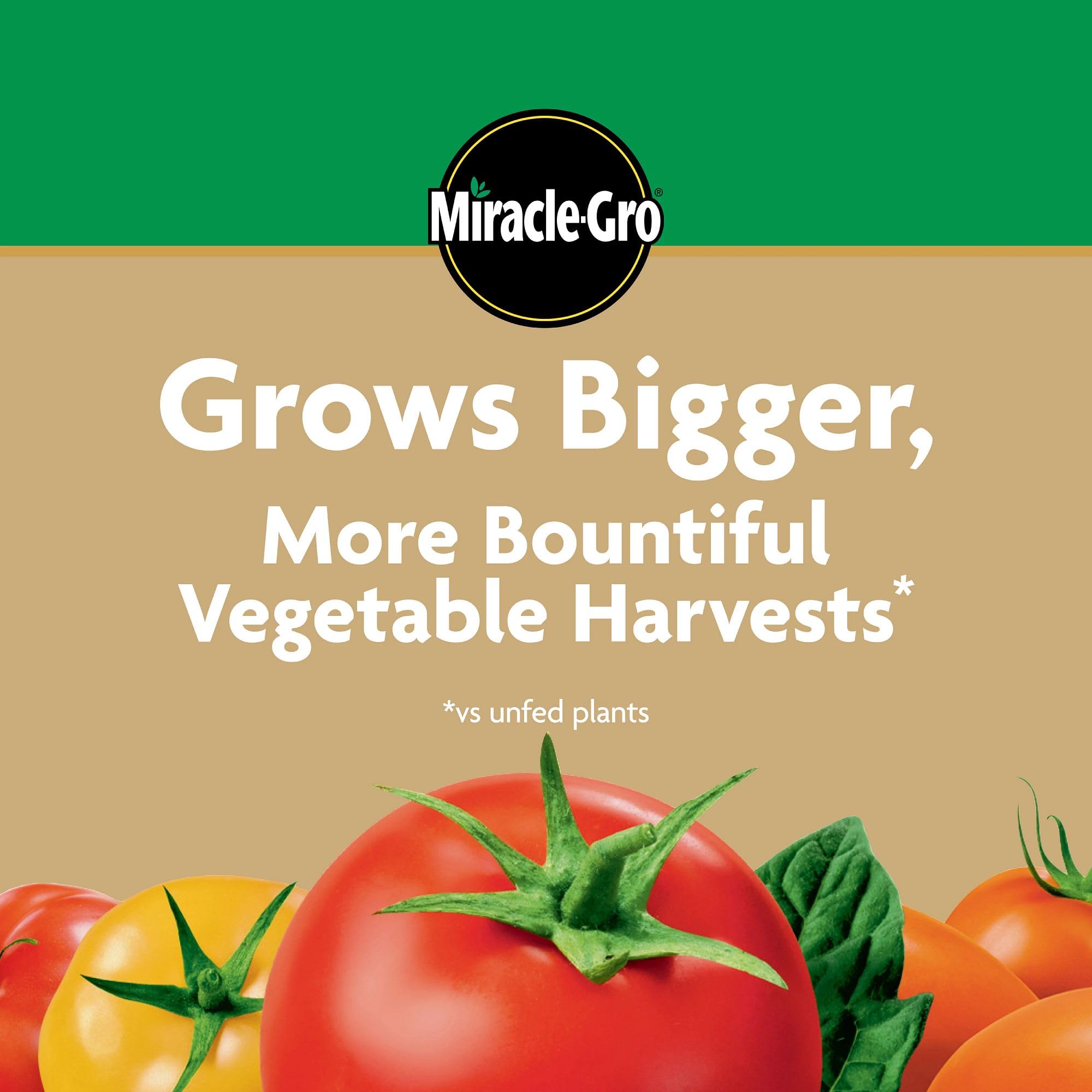 Vegetables growing in a garden bed with vibrant leaves