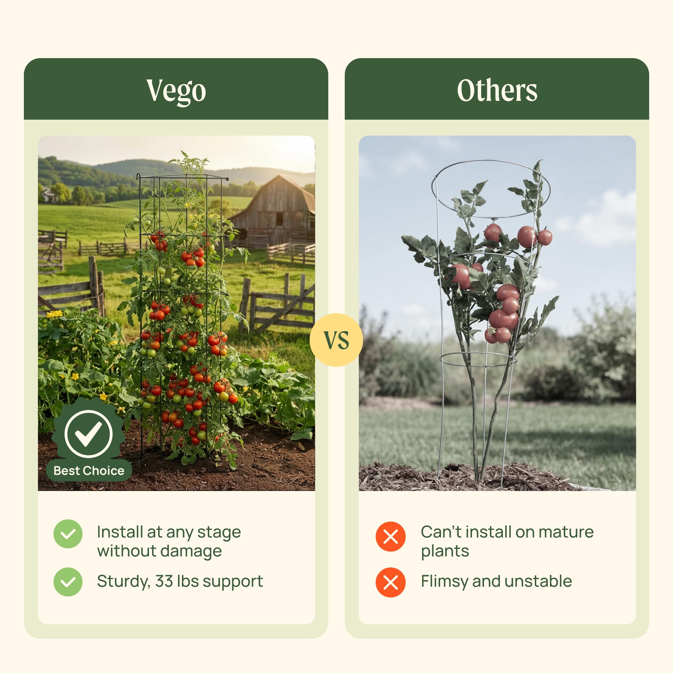 Vego Garden 3-Panel tomato cage in use as a trellis for climbing plants