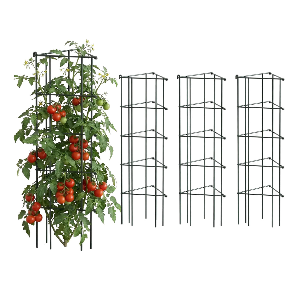 Vego Garden 3-Panel tomato cage front view demonstrates modular, tool-free assembly for flexible plant support