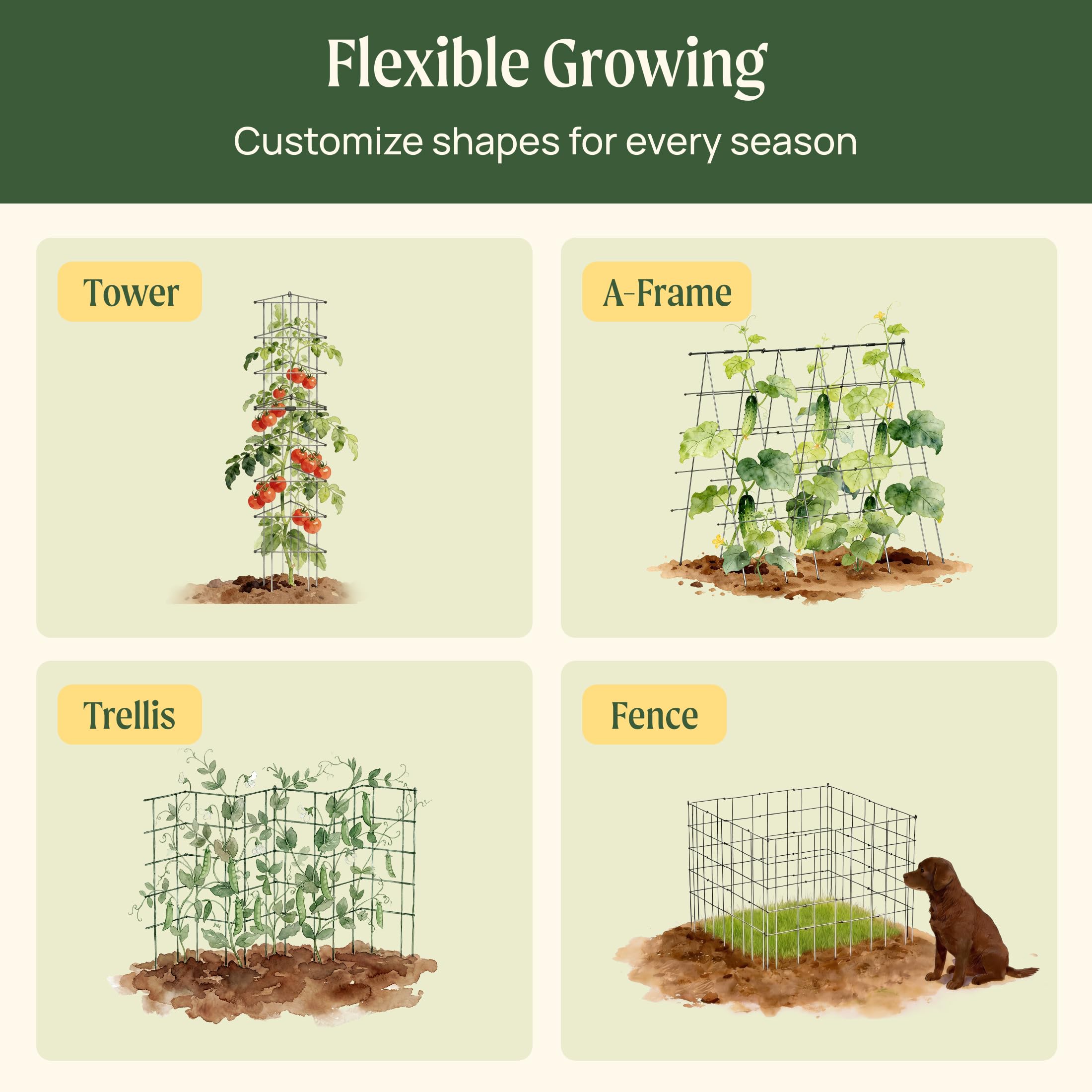 Vego Garden 3-Panel tomato cage with panels adjusted for vertical growth