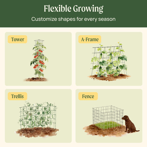 Vego Garden 3-Panel tomato cage with panels adjusted for vertical growth