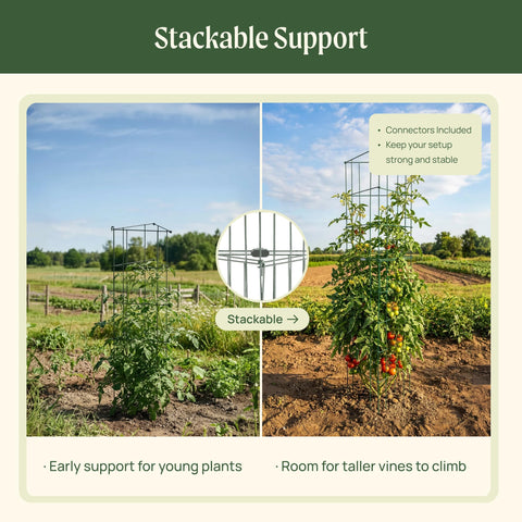 Vego Garden 3-Panel tomato cage including plant ties for guided growth