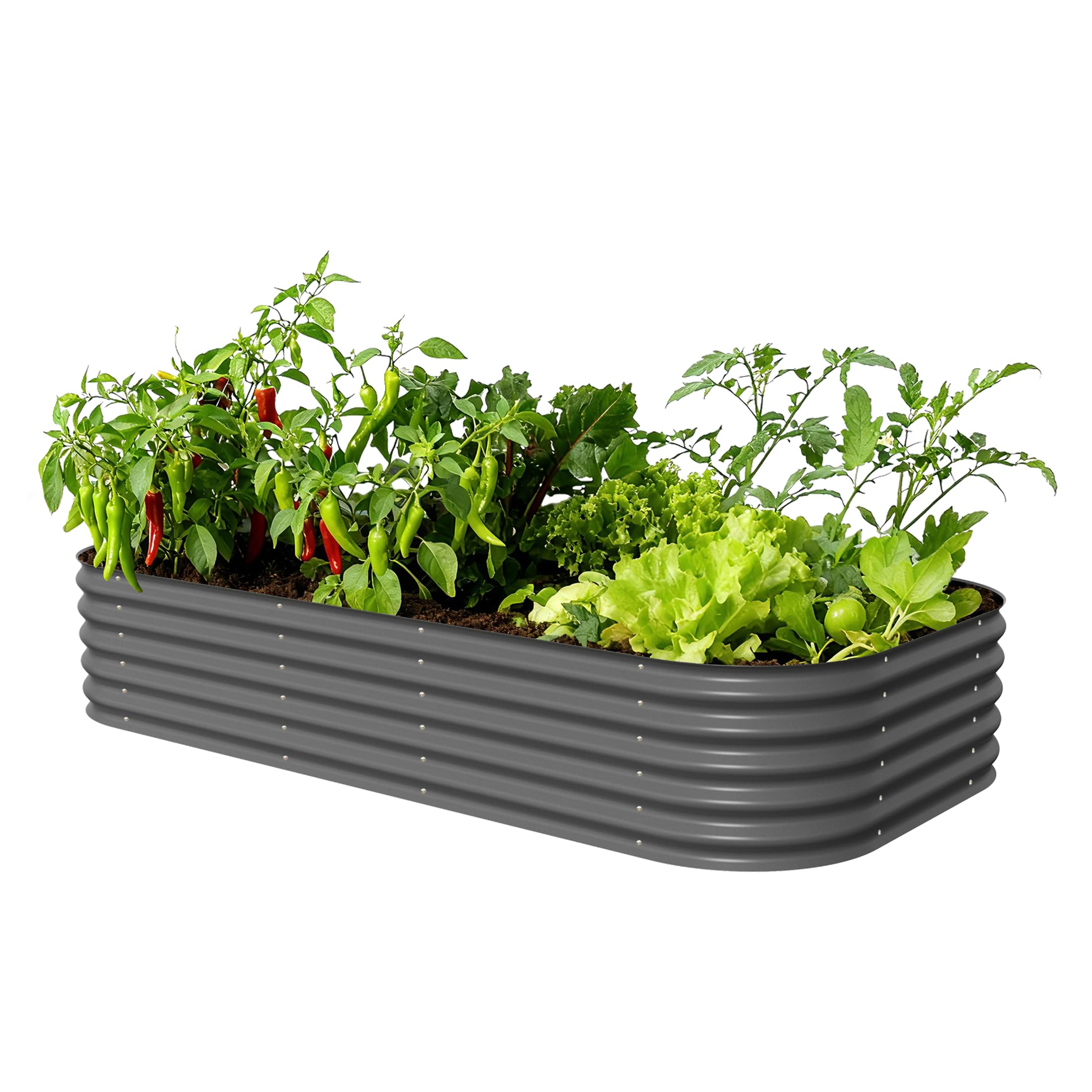 Vego Garden raised bed kit in 17-inch height for easy, low-bend gardening