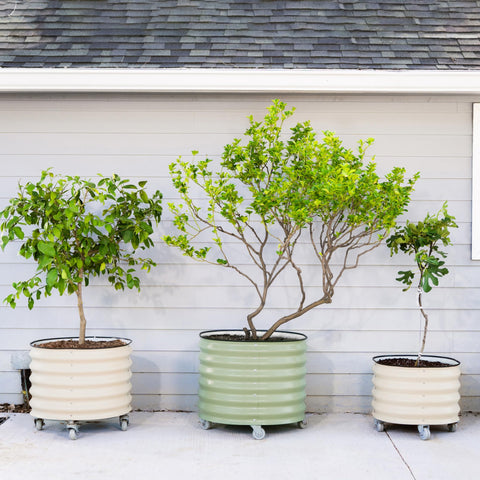 Vego Garden wheels support easy seasonal moves to optimize sun exposure