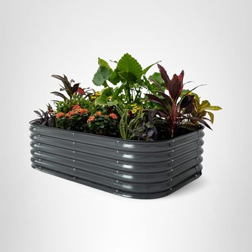 Vego Garden complete system hints at expanded garden-to-life solutions.